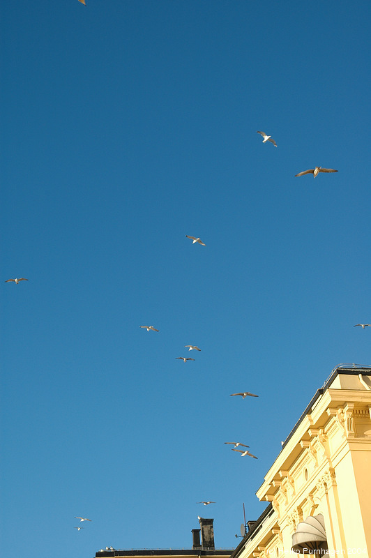 Friends and stuff - Oslo 2004-12-02/05 - dsc_4065.jpg - Photo: Heiko Purnhagen 2004